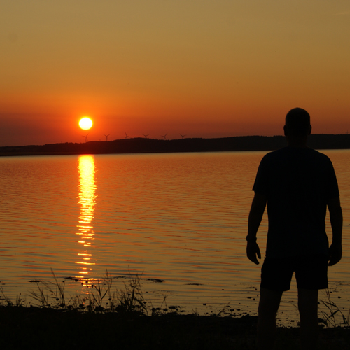 Fotografie im Gegenlicht der untergehenden Sonne am Limfjorden.